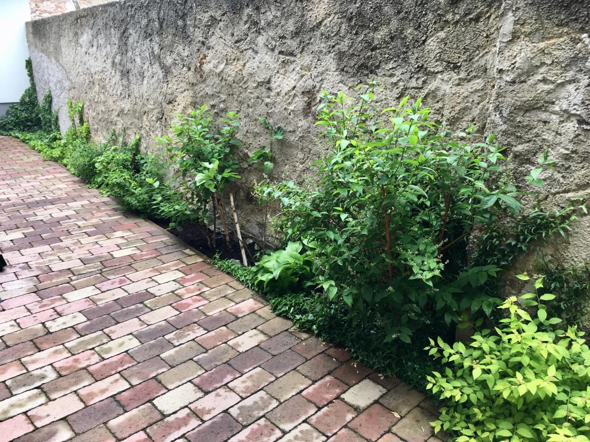 Apartmany U Vavrince Susice Luaran gambar